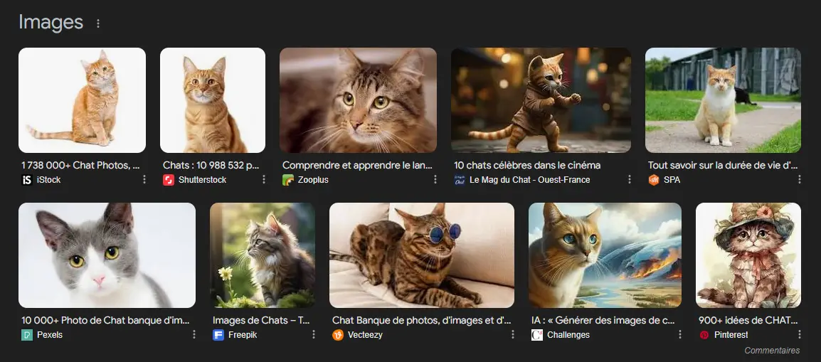 résulat de recherche google image